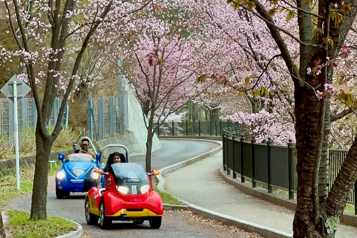 Fuji Go Q Tour – Non-Driver Tour Experience
